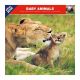 Calendrier Bébés animaux