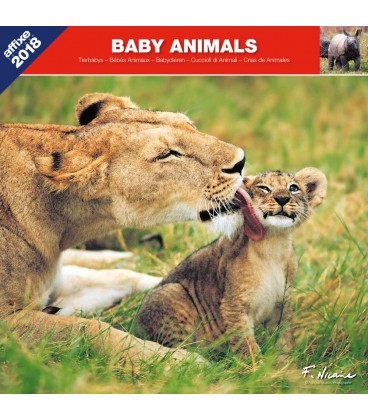 Baby Animals calendar