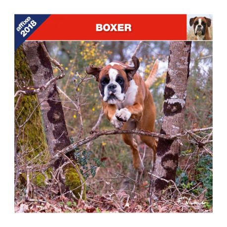 Boxer calendar