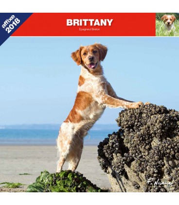 Brittany calendar