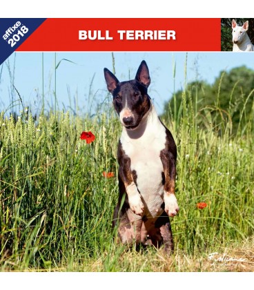 Bull Terrier calendar