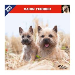 Cairn Terrier calendar