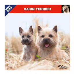Calendrier Cairn Terrier