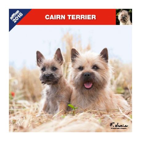 Calendrier Cairn Terrier