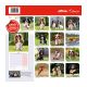 Cavalier King Charles calendar