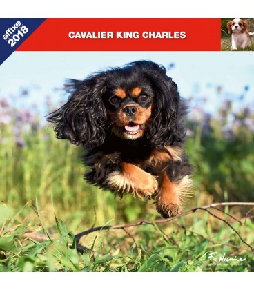Cavalier King Charles calendar