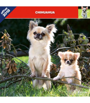 Chihuahua calendar