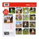 Calendrier Dalmatien