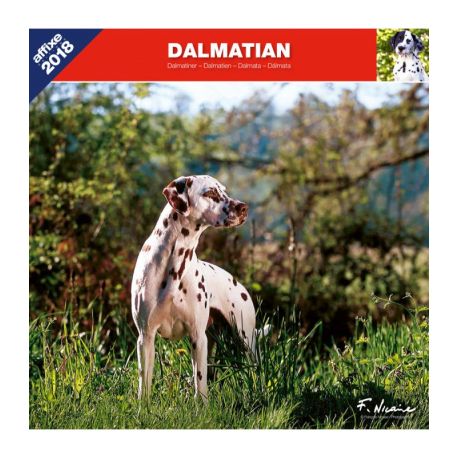 Dalmatian calendar