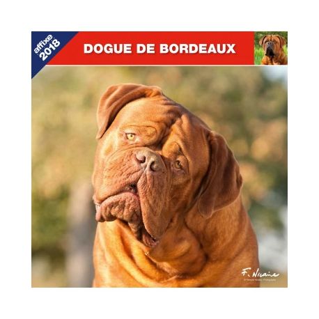 Dogue de Bordeaux calendar