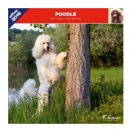 Poodle calendar