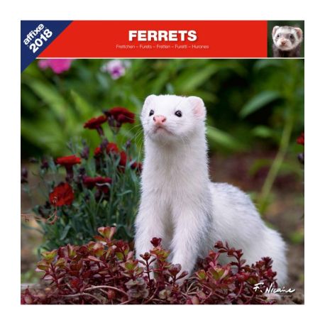Ferrets calendar