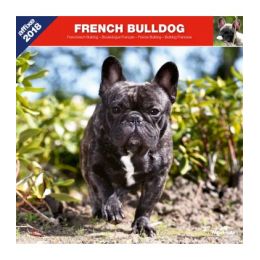 French Bulldog calendar
