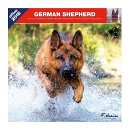 German Shepherd calendar