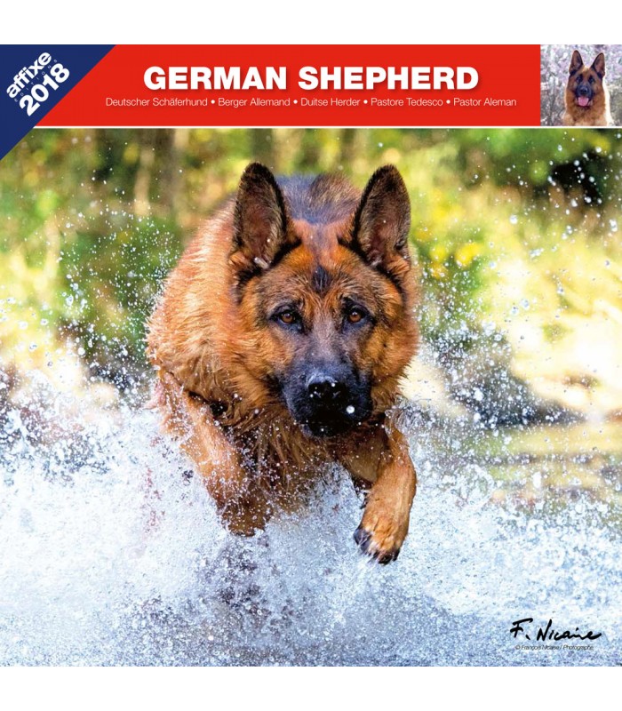 German Shepherd calendar
