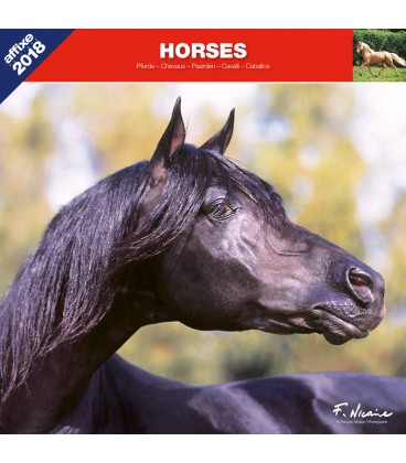 Horses calendar