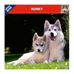 Husky calendar