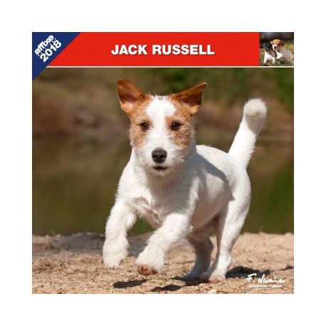 Jack Russel calendar