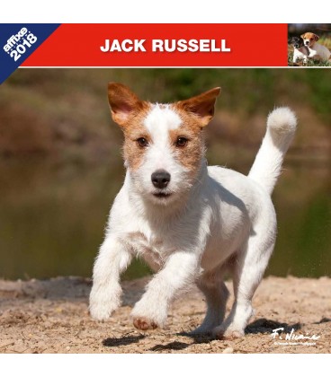 Jack Russel calendar