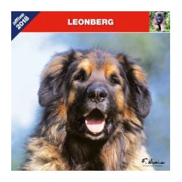 Calendrier Léonberg
