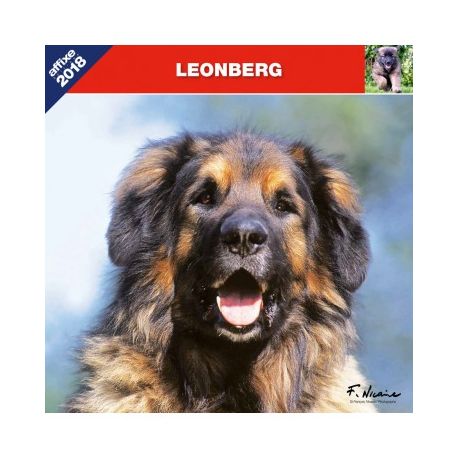 Leonberg calendar