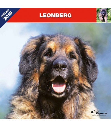 Leonberg calendar