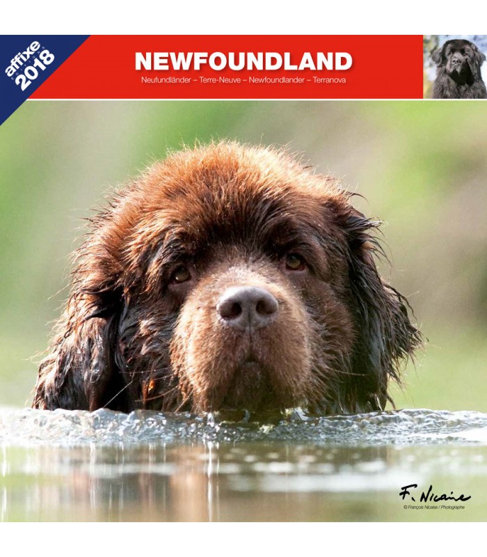 Newfoundland calendar