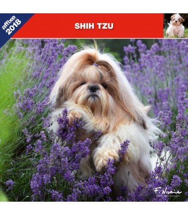 Shih-Tzu calendar
