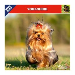 Yorkshire calendar