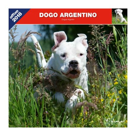 Dogo Argentino calendar
