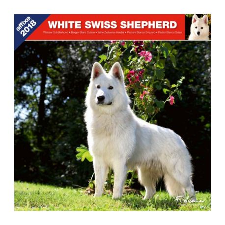White Swiss Shepherd calendar