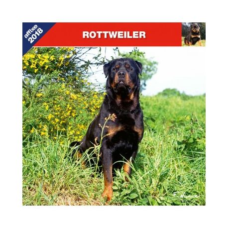 Rottweiler calendar