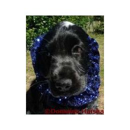 Snood - Protection for long ears - Night blue with sequins