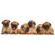 12 pcs Pup Identity Collars For Puppies