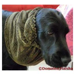 Snood - Protection for long ears - Black & golden party pattern
