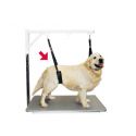 Show Tech Comfort Belly Strap for Dogs