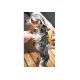 Spa pet healing shower head - système de lavage pour chiens & chat