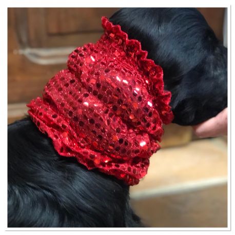 Snood - Protection for long ears - Red with sequins