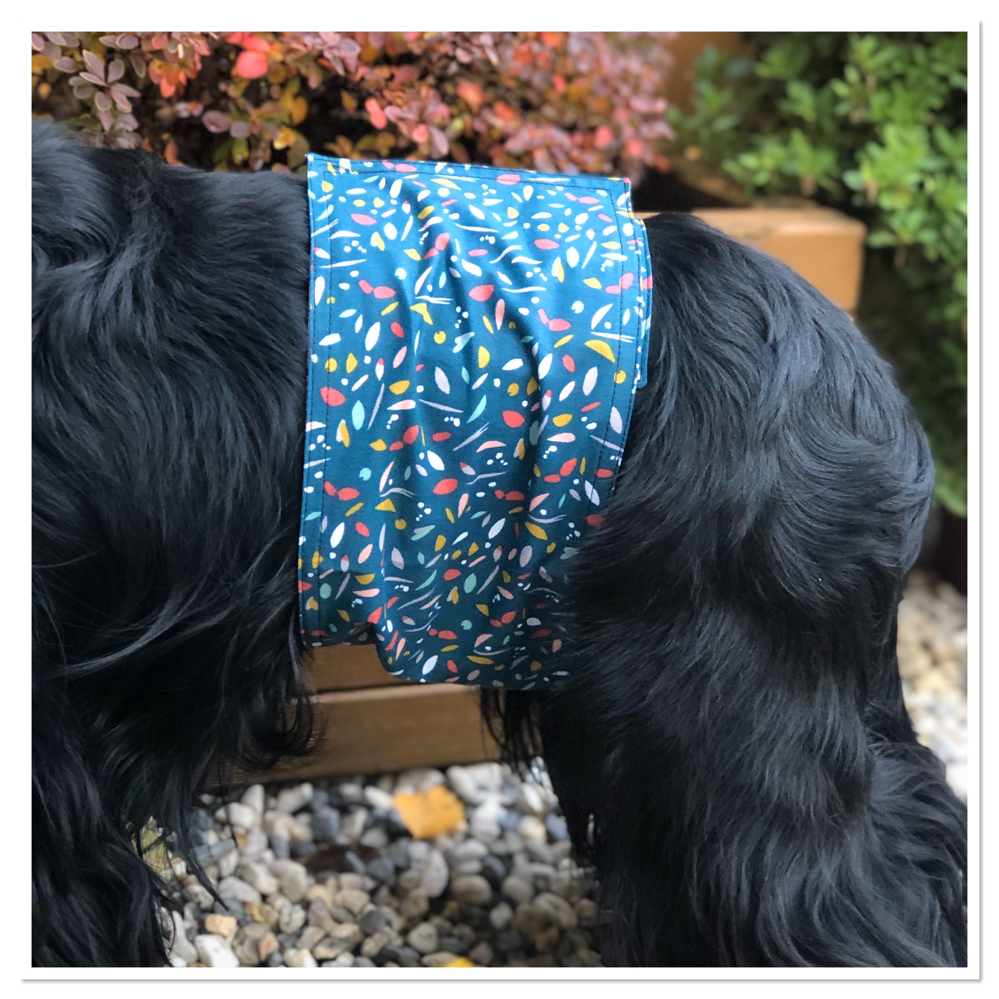 Bandeau anti-pipi motif  Springfield - All4yourpets