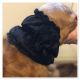 Snood - Cagoule protection oreilles tombantes - Motif design "Black Velvet" 