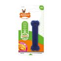 Nylabone Dental chew - Moderate Chew - Chicken