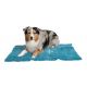 Show Tech Multi-Purpose Absorbent Mat with Paw Antislip