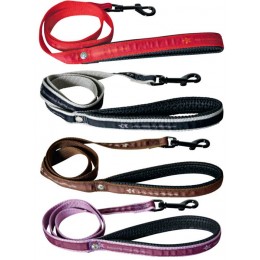 Pets Connection leash, parma