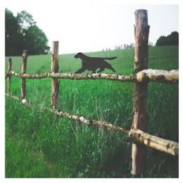 Springer Spaniel Fence Topper - Décoration de clôture