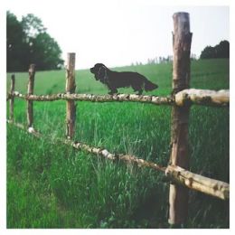 Sussex Spaniel Fence Topper - Décoration de clôture Sussex Spaniel 