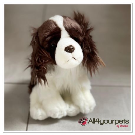 Peluche Springer Spaniel - adulte - All4yourpets