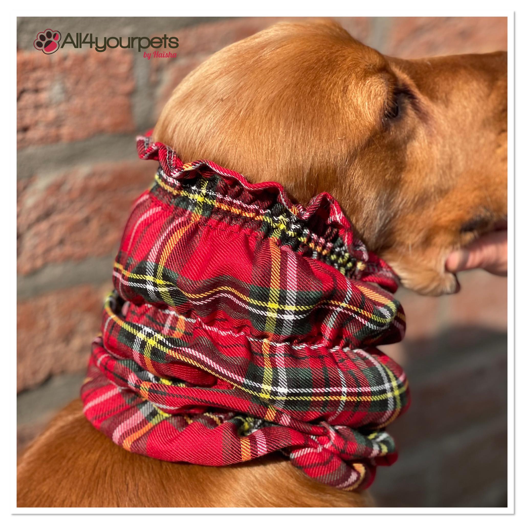 Snood - Cagoule protection oreilles tombantes - Motif Ecossais -  All4yourpets